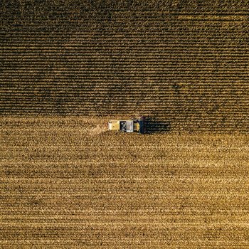 Blick auf ein Feld aus der Vogelperspektive